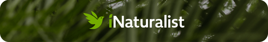 Record & Share Nature Observations Using iNaturalist&nbsp;App