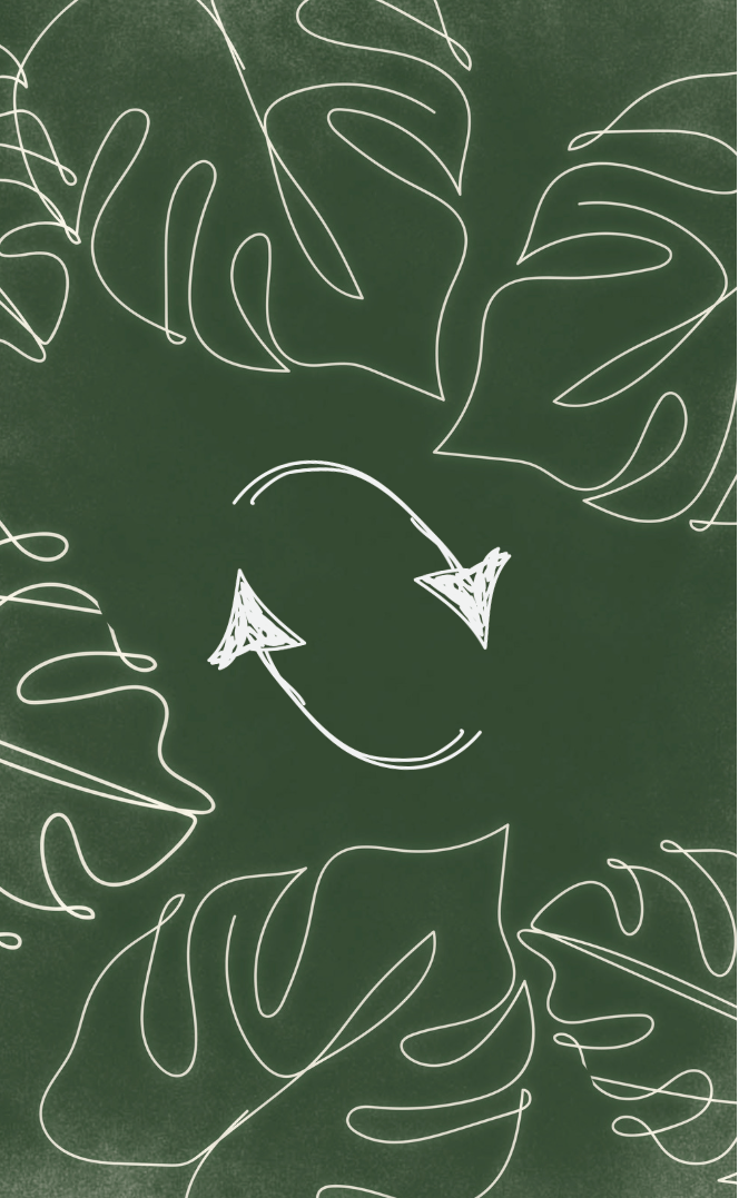 Community Plant Swap – January 17, 2026 City of Fairfax&nbsp;Library